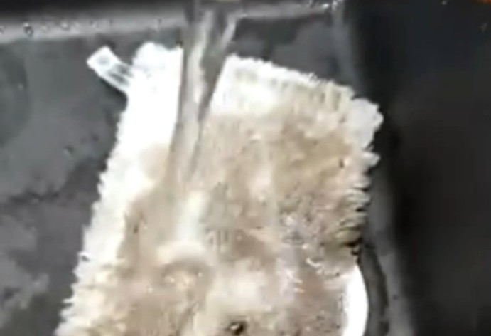 Miniatura wideo czyszczenie auta